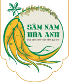 logo samnamhoaanh