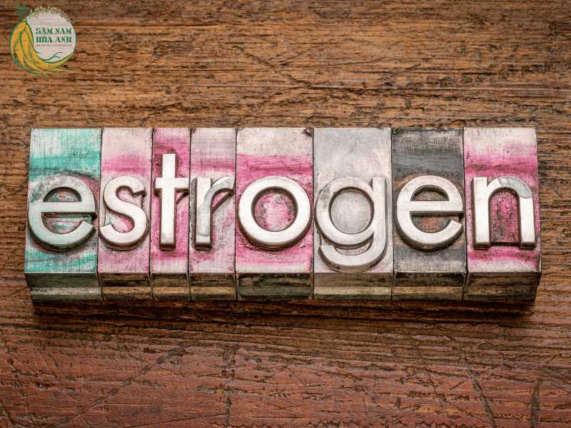 estrogen